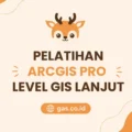 Pelatihan ArcGIS Pro Level Lanjut