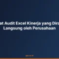 Manfaat Audit Excel Kinerja yang Dirasakan Langsung oleh Perusahaan