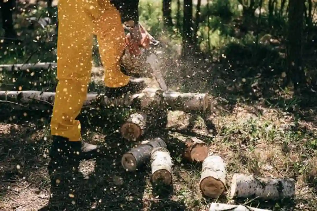 Chainsaw bisnis strategi