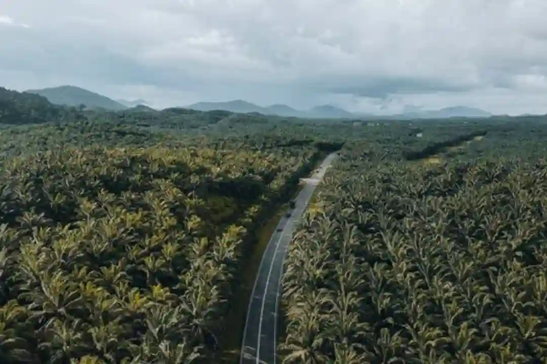 Hambatan Legal Palm Oil