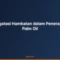 Kiat Mengatasi Hambatan dalam Penerapan Legal Palm Oil