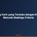 Jenjang Karir yang Terbuka dengan Keahlian Malcolm Baldrige Criteria