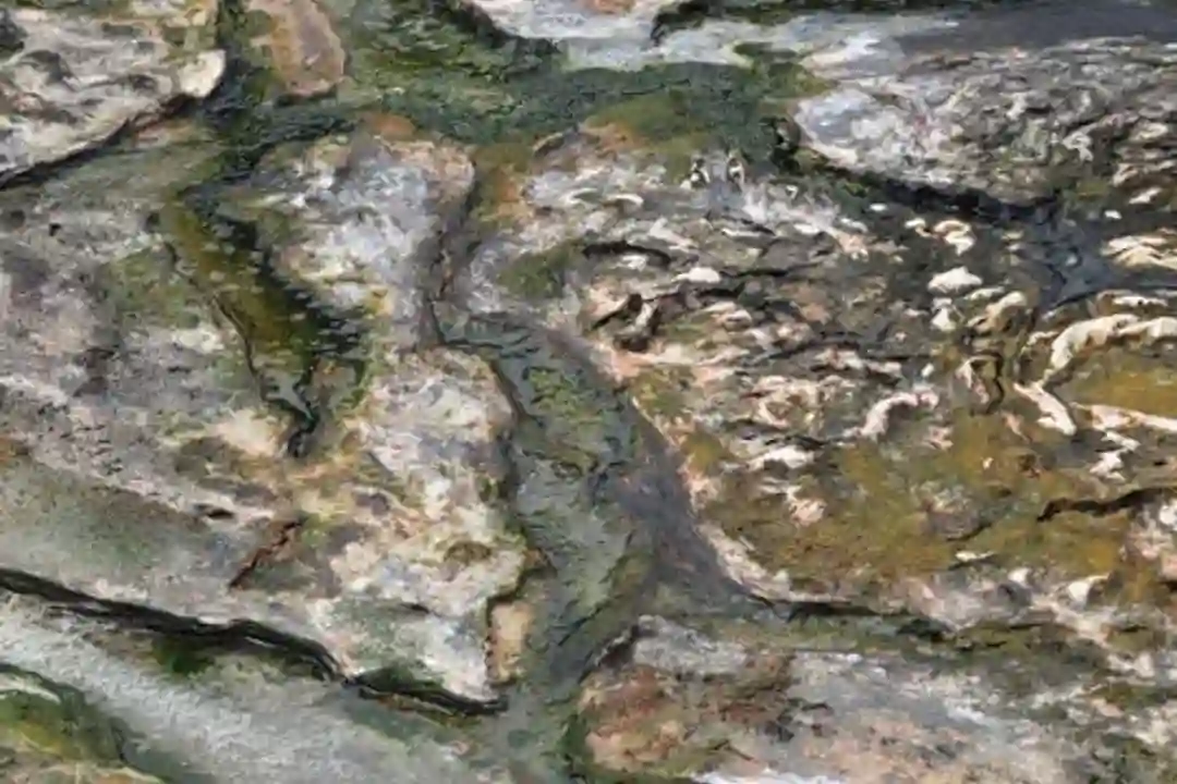 Keahlian Pengelolaan Sumber Daya Geologi