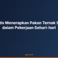 Kiat Praktis Menerapkan Pakan Ternak Seimbang dalam Pekerjaan Sehari-hari