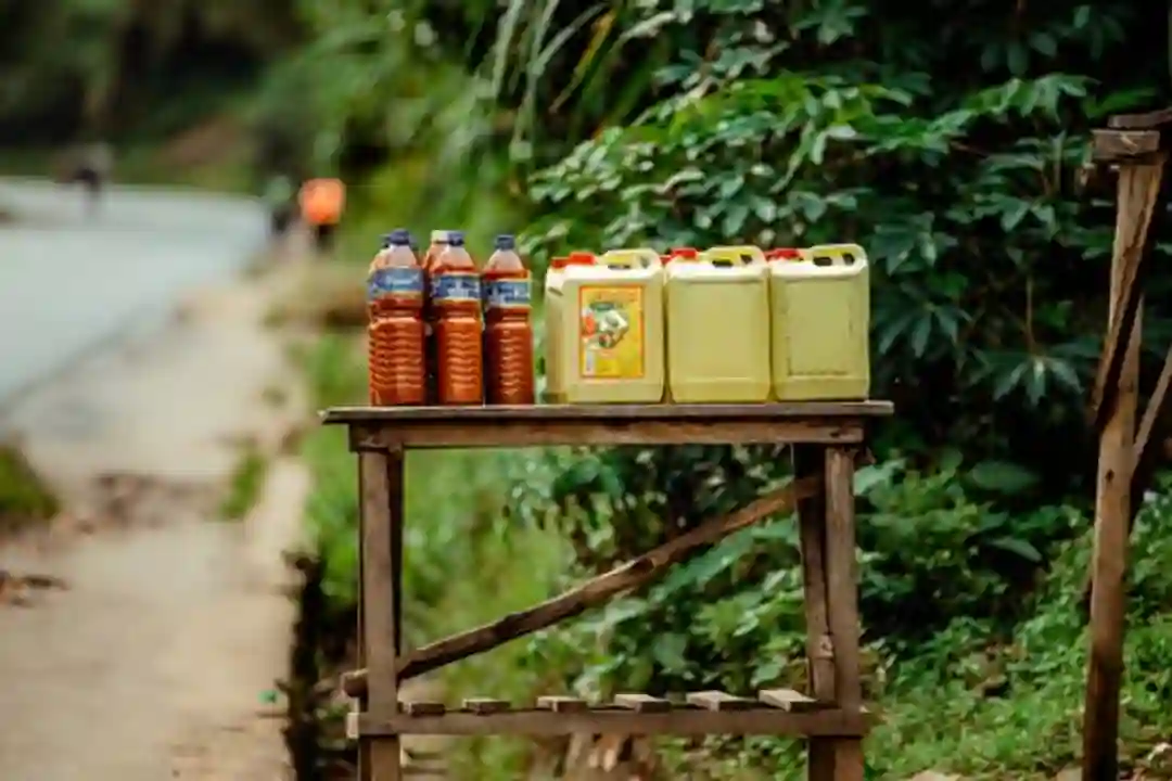 legal palm oil kompetensi