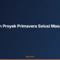 Manajemen Proyek Primavera Solusi Masalah Umum