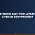 panduan lapor pajak