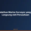 Manfaat Pelatihan Marine Surveyor yang Dirasakan Langsung oleh Perusahaan