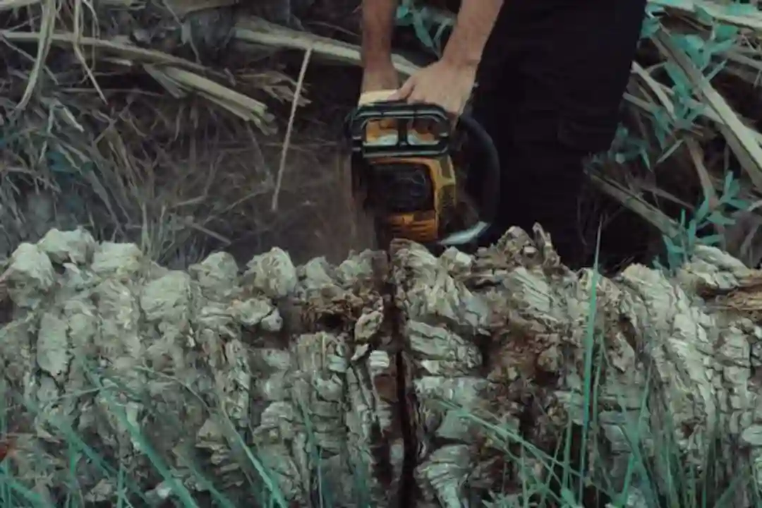 operator chainsaw manfaat