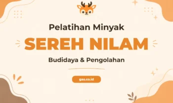 Pelatihan Minyak Sereh Nilam