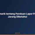 Fakta Menarik tentang Panduan Lapor Pajak yang Jarang Diketahui