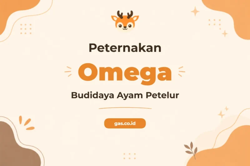 Pelatihan Ayam Petelur Omega Tingkatkan Produktivitas Ternak Anda
