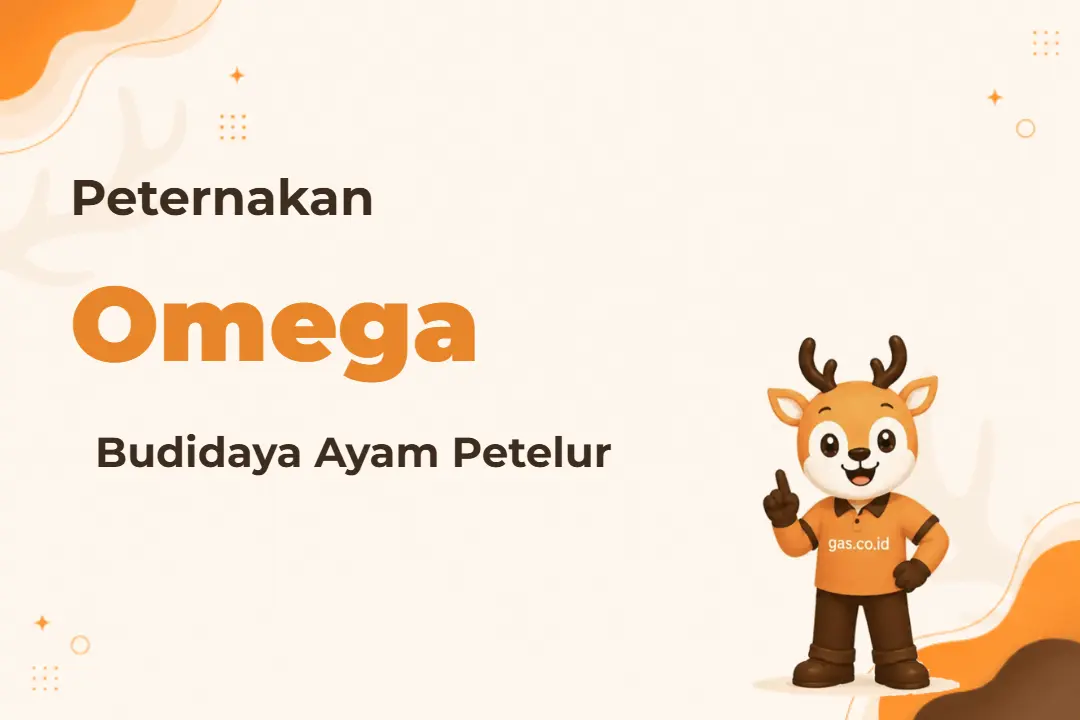 Ilustrasi Ayam Petelur Omega
