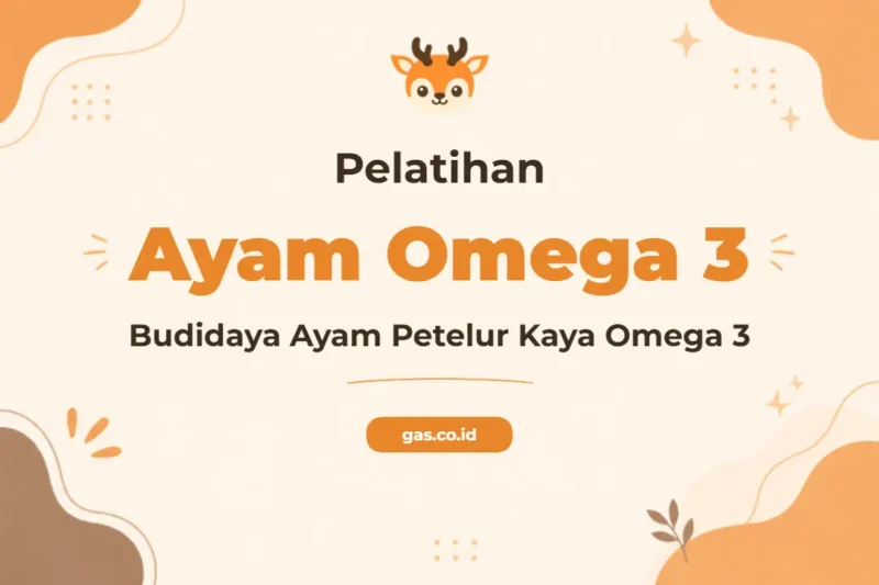 Pelatihan Ayam Petelur Omega 3 untuk Hasil Telur Berkualitas Tinggi