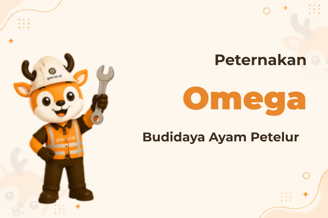 Pelatihan Ayam Petelur Omega