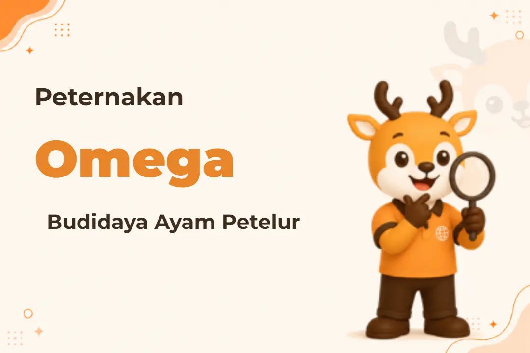 Infografis program Ayam Petelur Omega