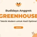 Pelatihan Budidaya Anggrek Dan Greenhouse untuk Hasil Optimal