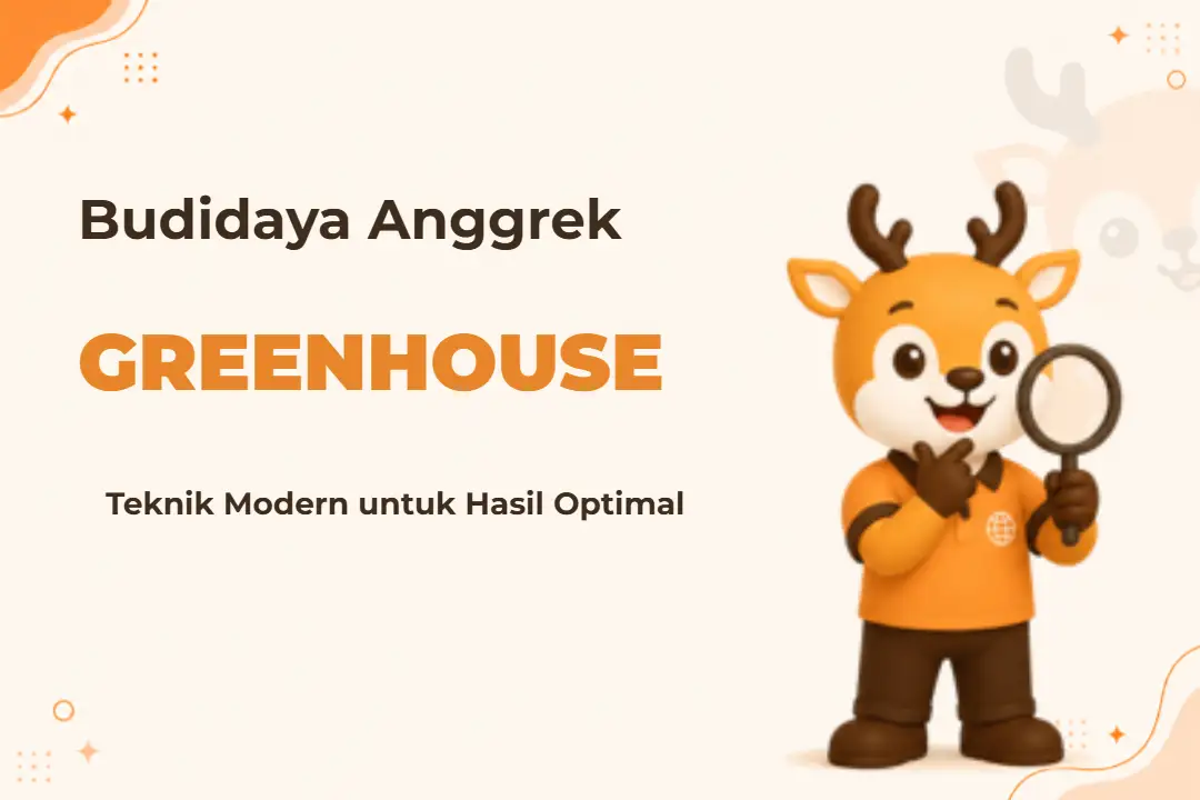 Infografis program Budidaya Anggrek