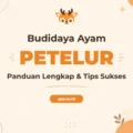 Pelatihan Budidaya Ayam Petelur Strategis untuk Hasil Panen Maksimal