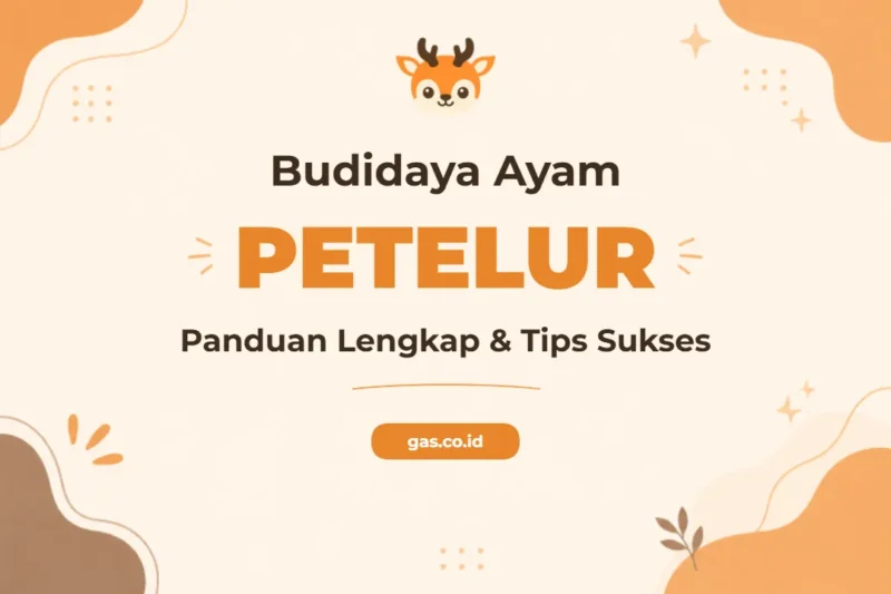 Pelatihan Budidaya Ayam Petelur Strategis untuk Hasil Panen Maksimal