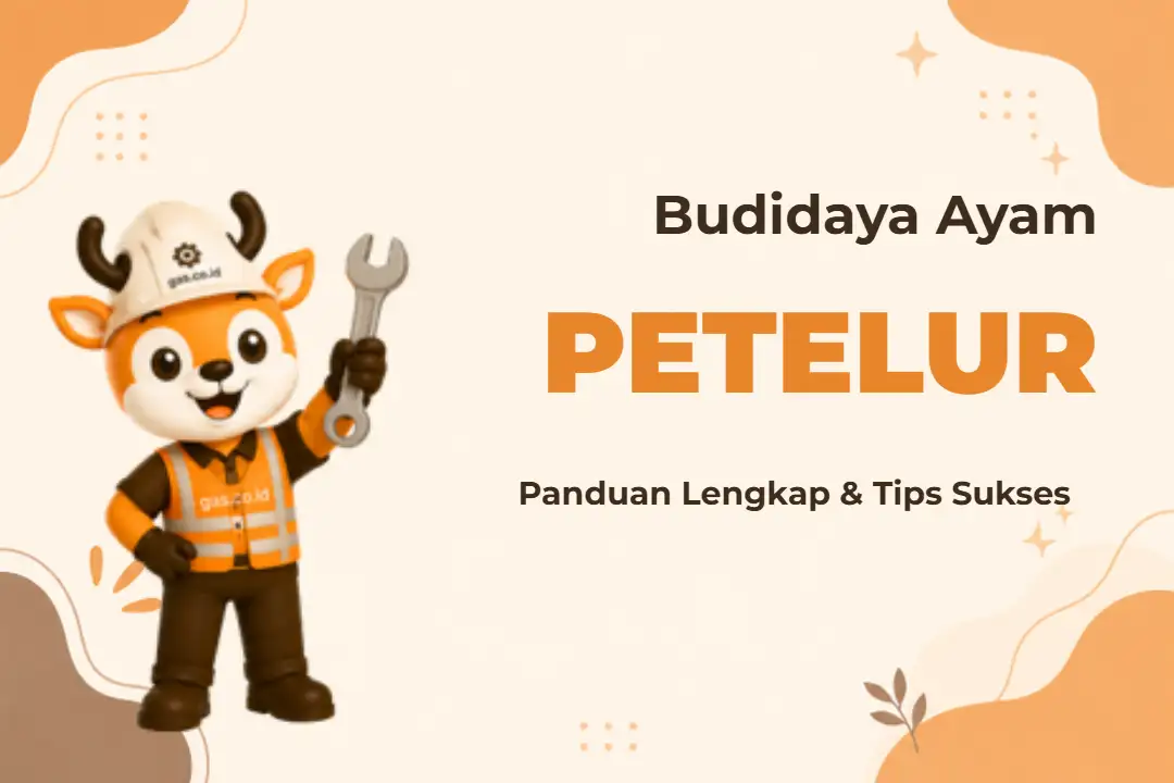 Banner kelas Budidaya Ayam Petelur