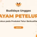 Pelatihan Budidaya Ayam Petelur Dan Pedaging (broiler) untuk Sukses Ternak