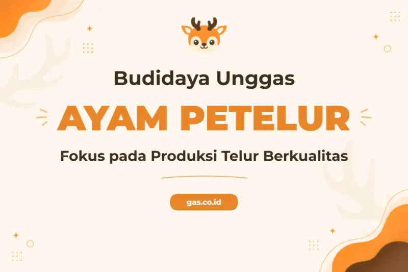 Pelatihan Budidaya Ayam Petelur Dan Pedaging (broiler) untuk Sukses Ternak