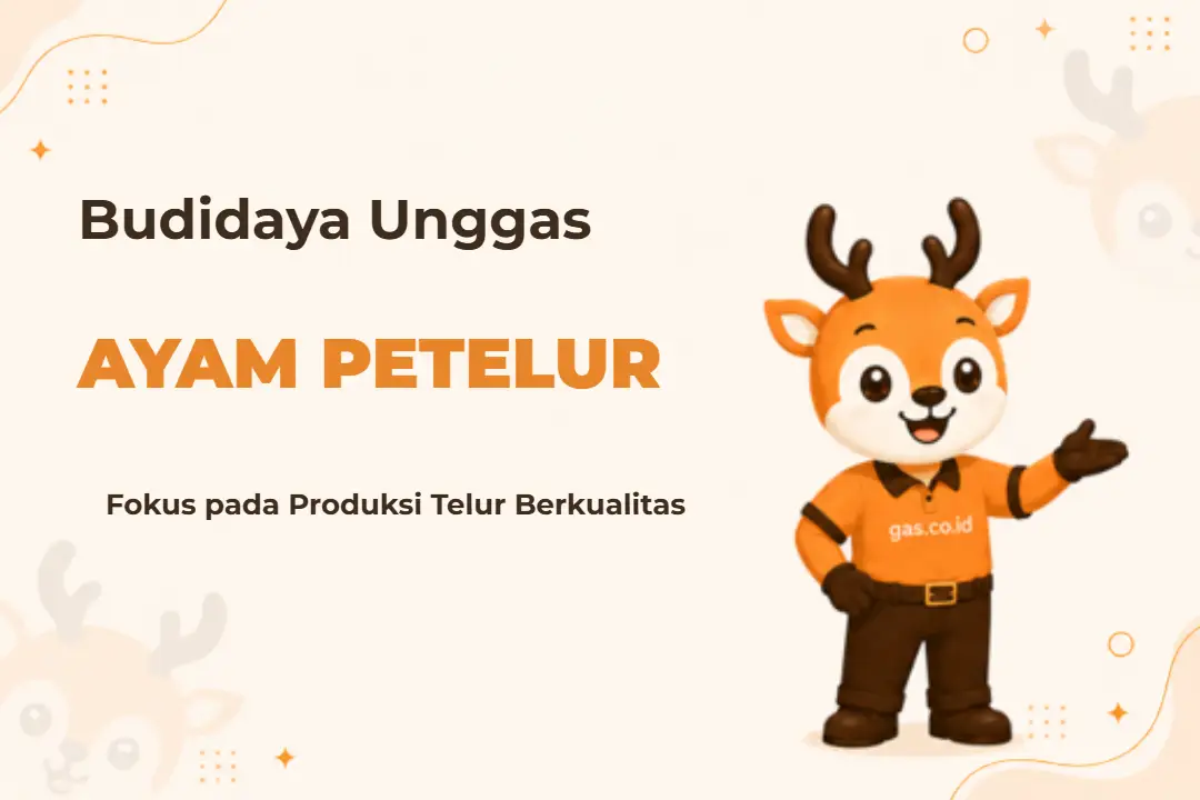 Ilustrasi Budidaya Ayam