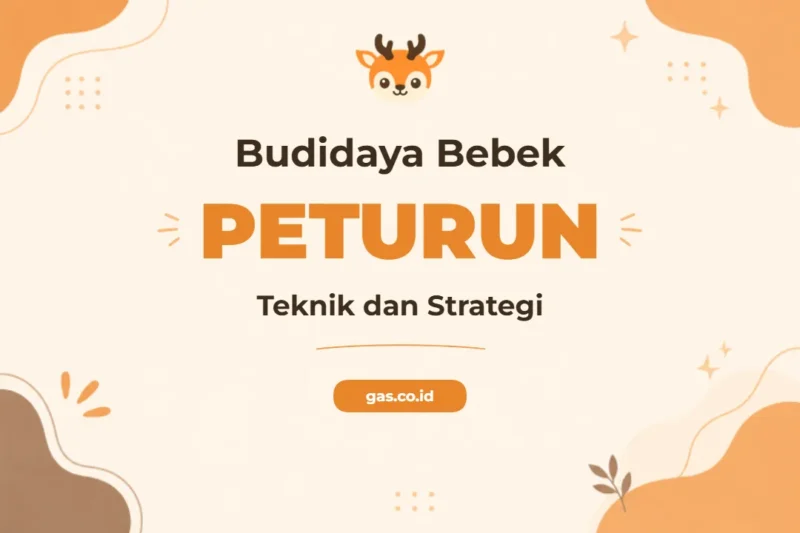 Pelatihan Budidaya Bebek Peteur Komprehensif untuk Hasil Maksimal