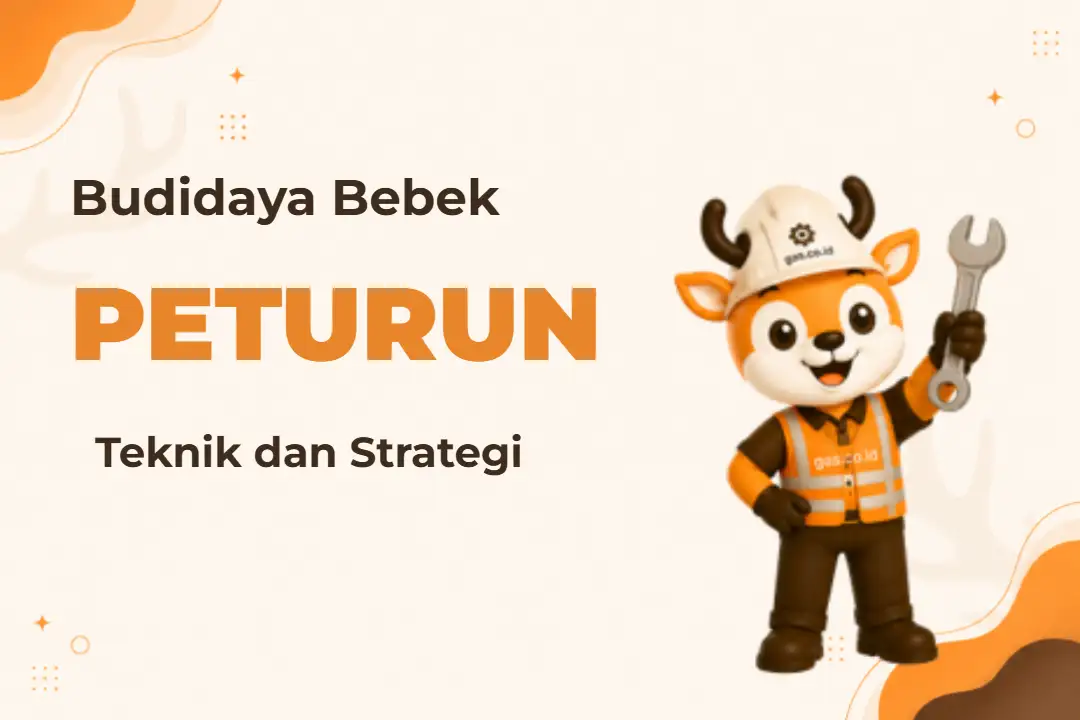 Ilustrasi Budidaya Bebek Peteur