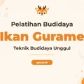 Pelatihan Budidaya Ikan Gurame untuk Hasil Panen Maksimal