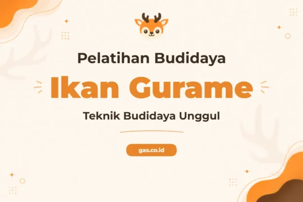 Pelatihan Budidaya Ikan Gurame untuk Hasil Panen Maksimal