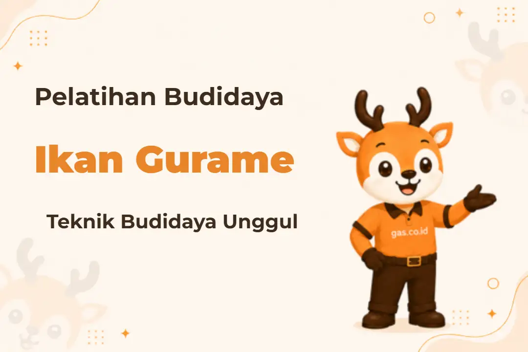 Ilustrasi Budidaya Ikan Gurame