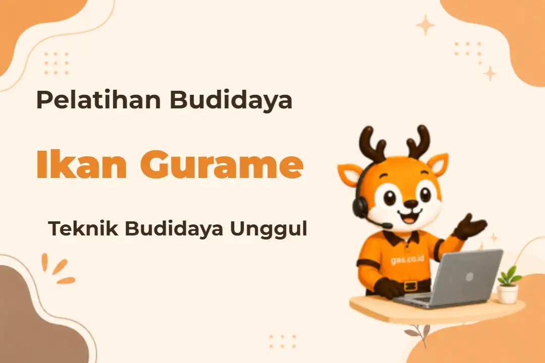 Infografis program Budidaya Ikan Gurame