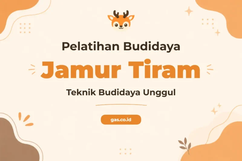 Pelatihan Budidaya Jamur Tiram Panduan Lengkap Sukses Agribisnis