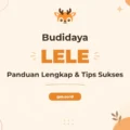 Pelatihan Budidaya Lele