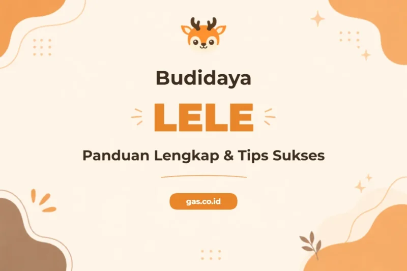 Pelatihan Budidaya Lele Sukses untuk Profesional Perikanan