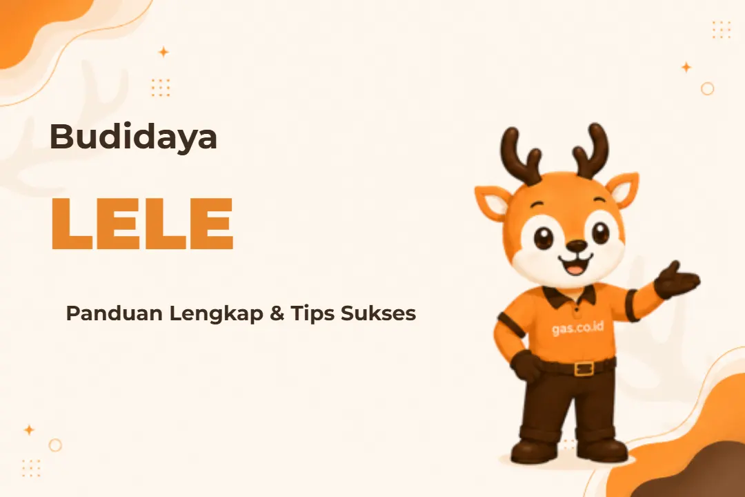 Ilustrasi Budidaya Lele