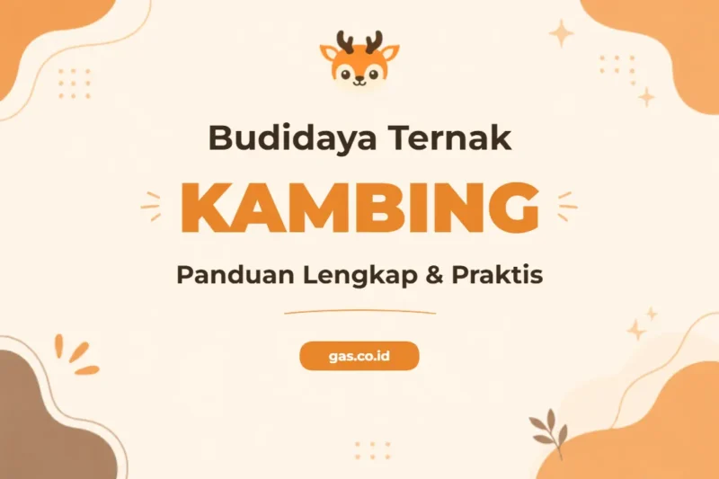 Pelatihan Budidaya Ternak Kambing untuk Peternak Profesional Unggul