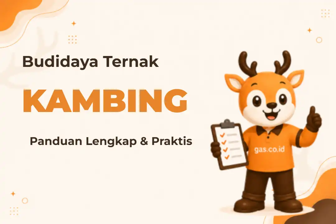 Ilustrasi Budidaya Ternak Kambing