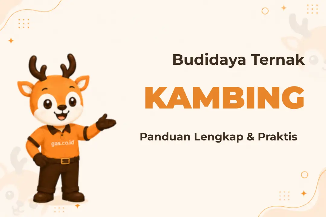 Pelatihan Budidaya Ternak Kambing