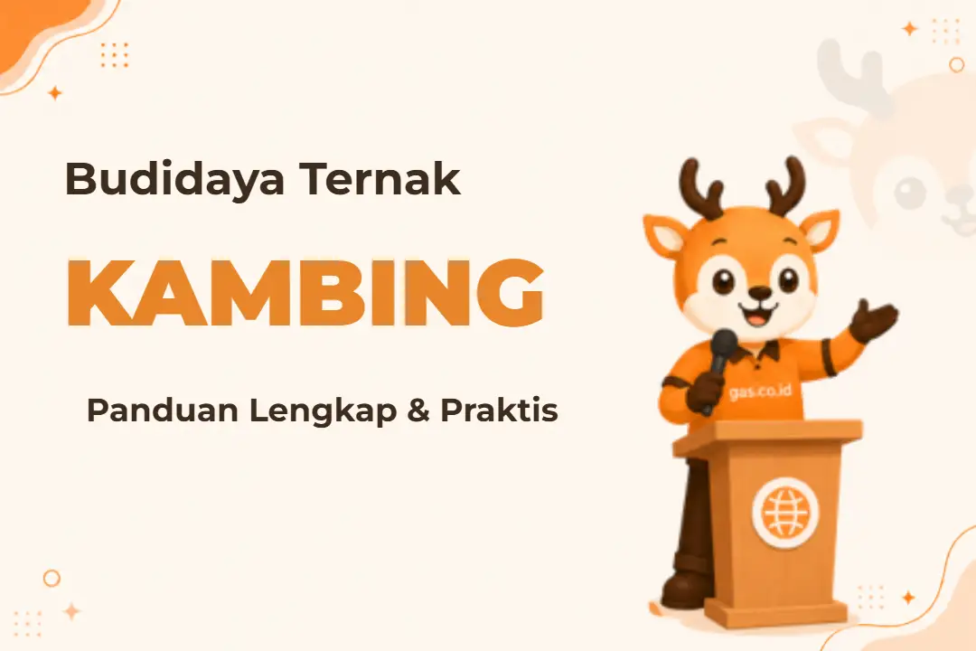 Infografis program Budidaya Ternak Kambing