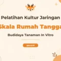 Pelatihan Kultur Jaringan Skala Rumah Tangga Untuk Budidaya Tanaman Modern