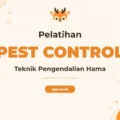 Pelatihan Pest Control Profesional untuk Lingkungan Sehat dan Aman