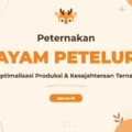 Pelatihan Peternak Ayam Petelur Profesional untuk Kesuksesan Bisnis Anda