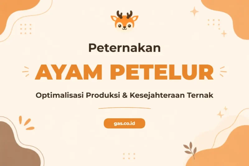 Pelatihan Peternak Ayam Petelur Profesional untuk Kesuksesan Bisnis Anda