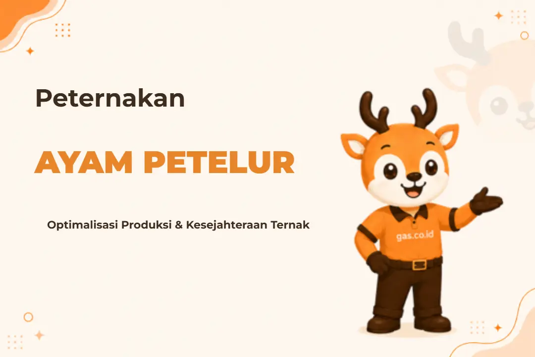 Infografis program Peternak Ayam Petelur
