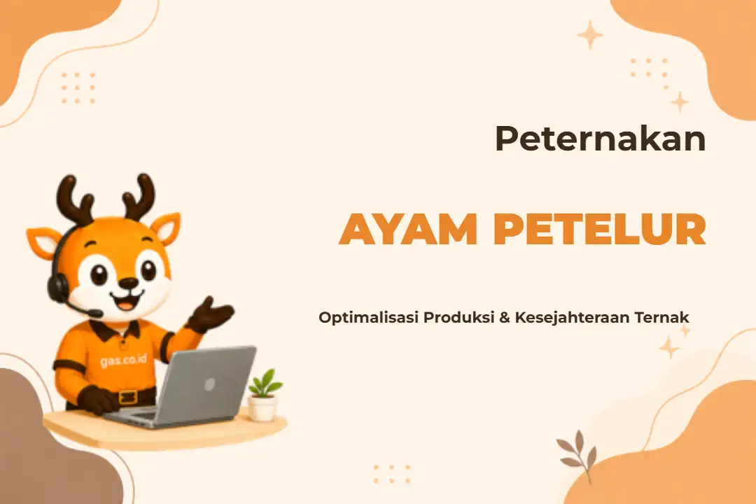 Banner kelas Peternak Ayam Petelur