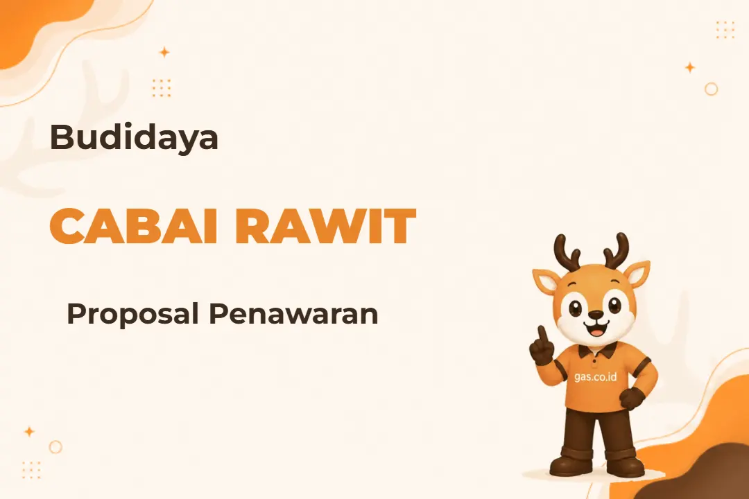 Ilustrasi Proposal Budidaya Cabai