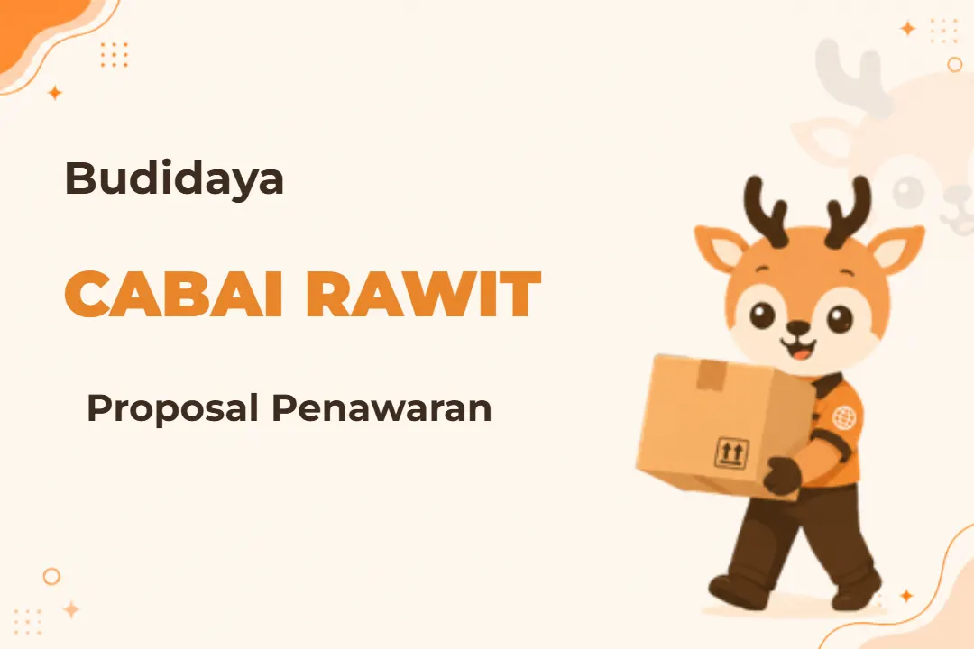 Infografis program Proposal Budidaya Cabai